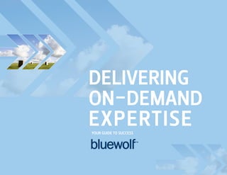Delivering
On-DemanD
expertise
YOur guiDe tO success
 