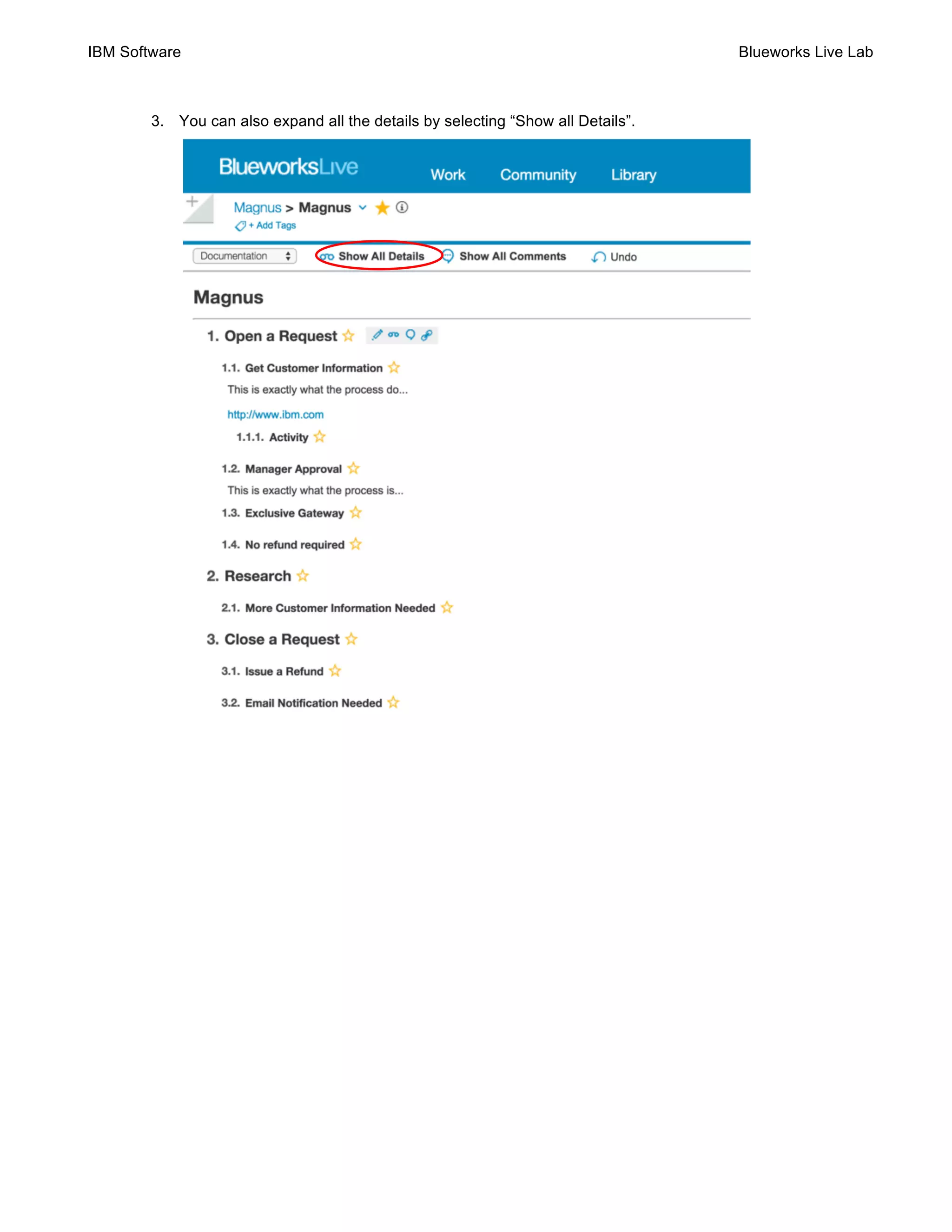 IBM Software Blueworks Live Lab
3. You can also expand all the details by selecting “Show all Details”.
 