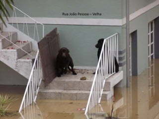 Rua João Pessoa – Velha 