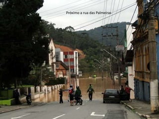 Próximo a rua das Palmeiras