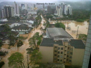 Alameda Rio Branco