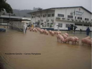 Presidente Getúlio – Carnes Pamplona