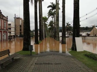 Rua das Palmeiras - Centro