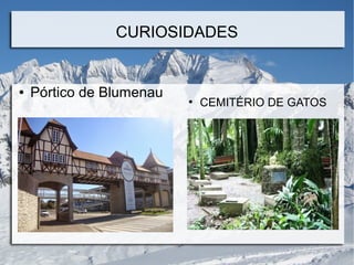 CURIOSIDADES
●
CEMITÉRIO DE GATOS
● Pórtico de Blumenau
 
