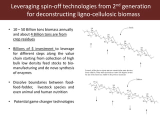 Animal nutrition approaches for profitable livestock operations and sustainable rural livelihoods