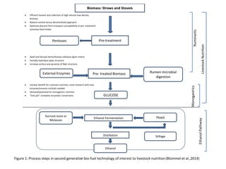 Animal nutrition approaches for profitable livestock operations and sustainable rural livelihoods