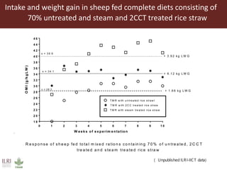 Animal nutrition approaches for profitable livestock operations and sustainable rural livelihoods