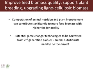 Animal nutrition approaches for profitable livestock operations and sustainable rural livelihoods