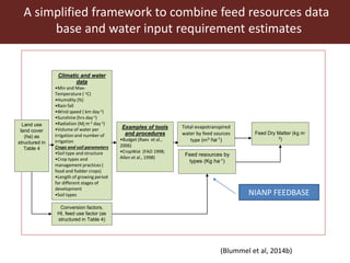 Animal nutrition approaches for profitable livestock operations and sustainable rural livelihoods