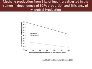 Animal nutrition approaches for profitable livestock operations and sustainable rural livelihoods