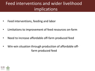 Animal nutrition approaches for profitable livestock operations and sustainable rural livelihoods