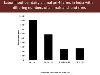Animal nutrition approaches for profitable livestock operations and sustainable rural livelihoods