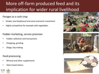 Animal nutrition approaches for profitable livestock operations and sustainable rural livelihoods