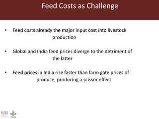 Animal nutrition approaches for profitable livestock operations and sustainable rural livelihoods