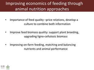 Animal nutrition approaches for profitable livestock operations and sustainable rural livelihoods