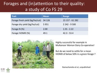 Animal nutrition approaches for profitable livestock operations and sustainable rural livelihoods