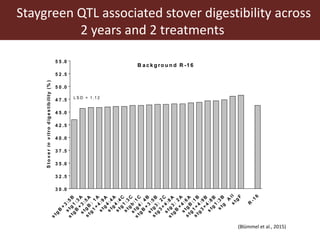 Multi-dimensional crop improvement: Experiences from collaborative ILRI-ICRISAT-NARES work on sorghum in India