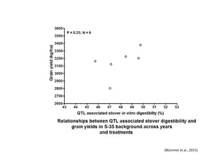 Multi-dimensional crop improvement: Experiences from collaborative ILRI-ICRISAT-NARES work on sorghum in India