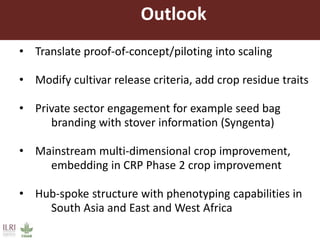 Multi-dimensional crop improvement: Experiences from collaborative ILRI-ICRISAT-NARES work on sorghum in India