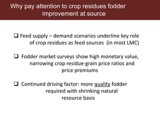 Multi-dimensional crop improvement: Experiences from collaborative ILRI-ICRISAT-NARES work on sorghum in India