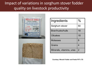 Multi-dimensional crop improvement: Experiences from collaborative ILRI-ICRISAT-NARES work on sorghum in India