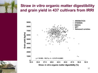 Dual-purpose crop developments, fodder trading and feed processing options for improving feeding in small holder dairy systems