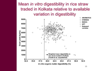 Dual-purpose crop developments, fodder trading and feed processing options for improving feeding in small holder dairy systems
