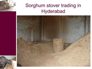 Dual-purpose crop developments, fodder trading and feed processing options for improving feeding in small holder dairy systems