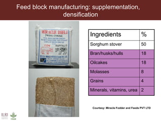 Multidimensional crop improvement to increase overall productivity in mixed crop-livestock systems and to support intensification of livestock