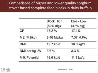 Multidimensional crop improvement to increase overall productivity in mixed crop-livestock systems and to support intensification of livestock