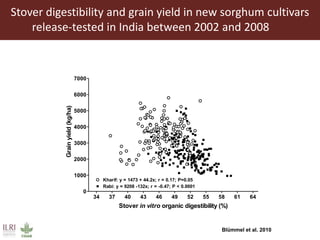 Multidimensional crop improvement to increase overall productivity in mixed crop-livestock systems and to support intensification of livestock