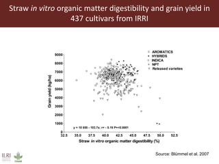 Multidimensional crop improvement to increase overall productivity in mixed crop-livestock systems and to support intensification of livestock