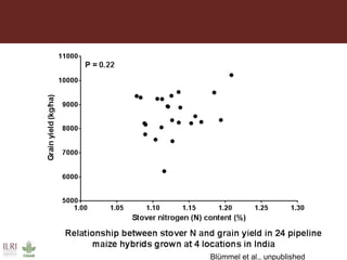 Multidimensional crop improvement to increase overall productivity in mixed crop-livestock systems and to support intensification of livestock