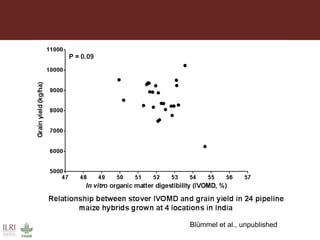 Multidimensional crop improvement to increase overall productivity in mixed crop-livestock systems and to support intensification of livestock
