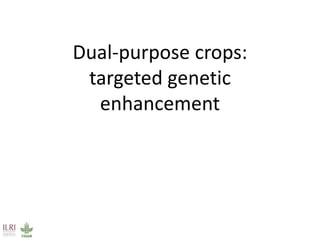 Multidimensional crop improvement to increase overall productivity in mixed crop-livestock systems and to support intensification of livestock