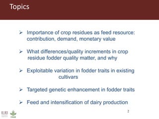 Multidimensional crop improvement to increase overall productivity in mixed crop-livestock systems and to support intensification of livestock