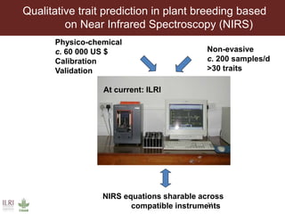Multidimensional crop improvement to increase overall productivity in mixed crop-livestock systems and to support intensification of livestock