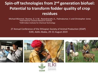 Spin-off technologies from 2nd generation biofuel:
Potential to transform fodder quality of crop
residues
Michael Blümmel, Sharma, G. V. M., Ravindranath, K., Padmakumar, V. and Christopher Jones
2018 Global Nutrition Symposium, January 2018, Addis Ababa, Ethiopia
aInternational Livestock Research Institute
bCSIR-Indian Institute for Chemical Technology
27 Annual Conference of the Ethiopian Society of Animal Production (ESAP)
EIAR, Addis Ababa, 29–31 August 2019
 