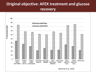 Original objective: AFEX treatment and glucose
recovery
Blümmel et al., 2018
 