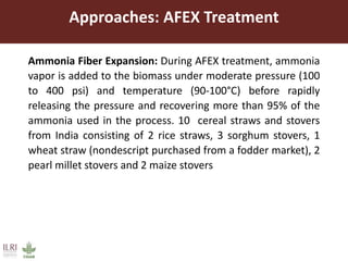 Approaches: AFEX Treatment
Ammonia Fiber Expansion: During AFEX treatment, ammonia
vapor is added to the biomass under moderate pressure (100
to 400 psi) and temperature (90-100°C) before rapidly
releasing the pressure and recovering more than 95% of the
ammonia used in the process. 10 cereal straws and stovers
from India consisting of 2 rice straws, 3 sorghum stovers, 1
wheat straw (nondescript purchased from a fodder market), 2
pearl millet stovers and 2 maize stovers
 