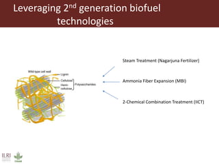 Spin-off technologies from 2nd generation biofuel: Potential to transform fodder quality of crop residues