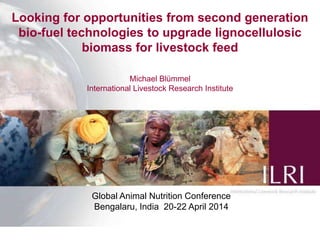 1
Looking for opportunities from second generation
bio-fuel technologies to upgrade lignocellulosic
biomass for livestock feed
Michael Blümmel
International Livestock Research Institute
Global Animal Nutrition Conference
Bengalaru, India 20-22 April 2014
 