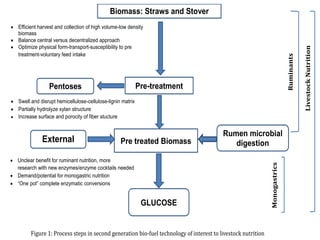 Looking for opportunities from second generation bio-fuel technologies to upgrade lignocellulosic biomass for livestock feed