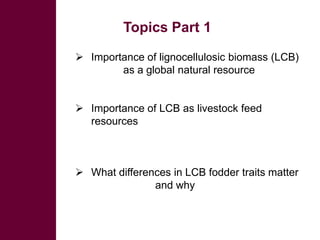 Looking for opportunities from second generation bio-fuel technologies to upgrade lignocellulosic biomass for livestock feed