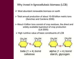 Looking for opportunities from second generation bio-fuel technologies to upgrade lignocellulosic biomass for livestock feed