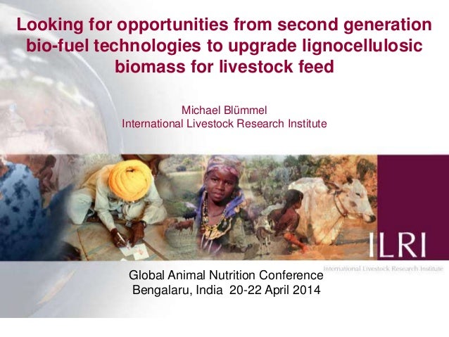 Biomass Energy Technologies Opportunities For New New Technology