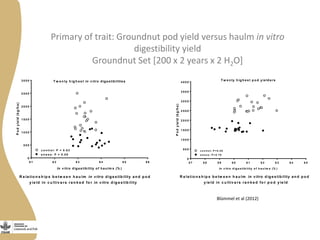 Opportunities and limitations of multidimensional crop improvement in grain legumes to support increased productivity in mixed crop livestock systems 