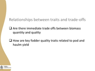Opportunities and limitations of multidimensional crop improvement in grain legumes to support increased productivity in mixed crop livestock systems 