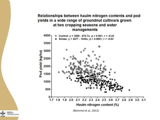 Opportunities and limitations of multidimensional crop improvement in grain legumes to support increased productivity in mixed crop livestock systems 