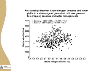 Opportunities and limitations of multidimensional crop improvement in grain legumes to support increased productivity in mixed crop livestock systems 